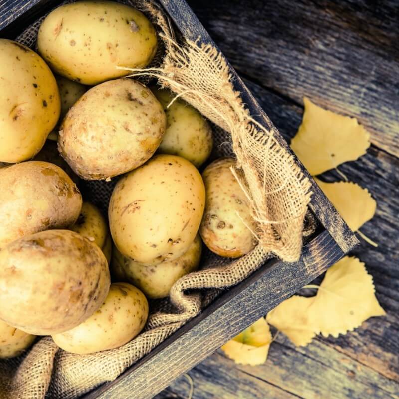 Keep the Green Out of the Potato