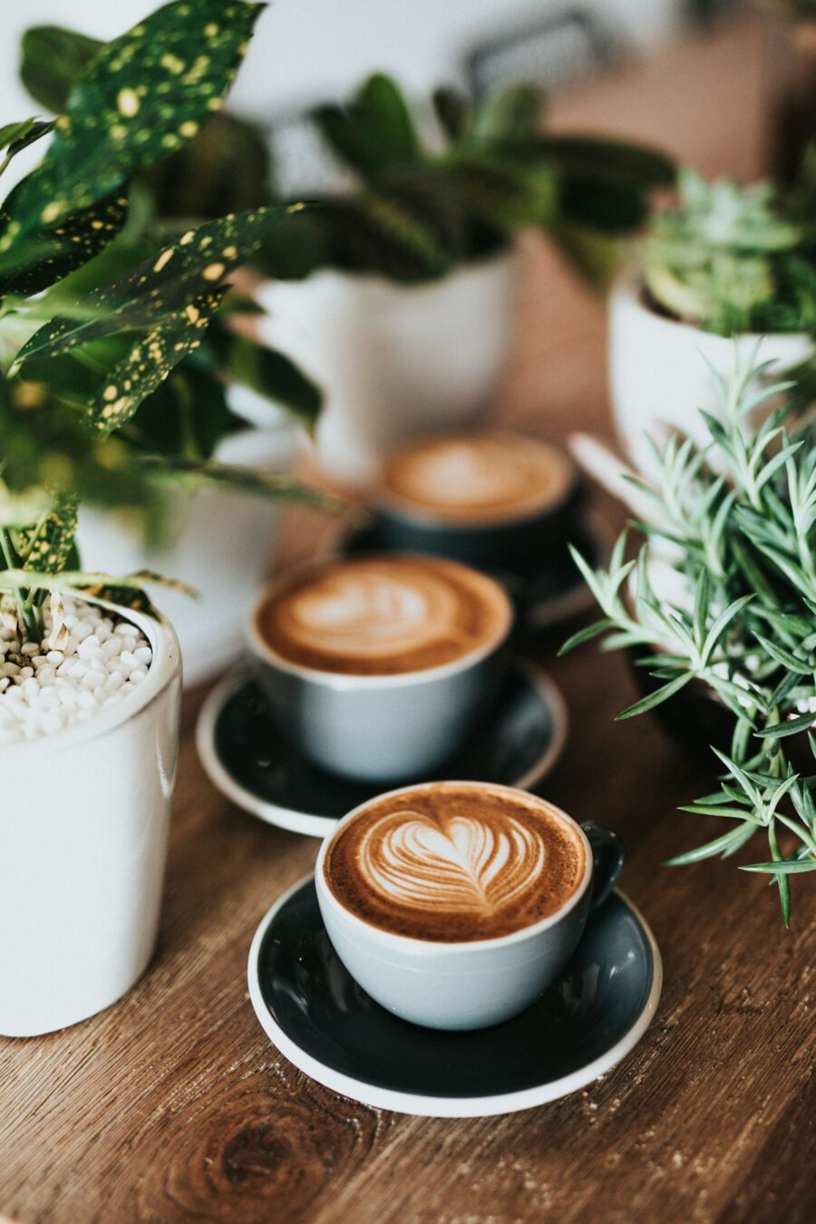 Tanya Rekomendasi Kopi
