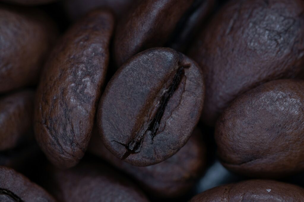 Close up biji kopi House Blend Cerkop
